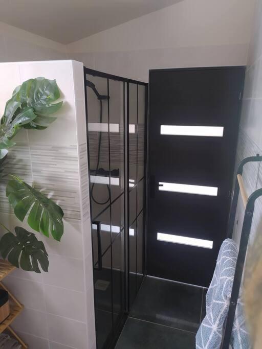 Maisonnette Biscarrosse Luaran gambar